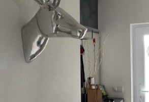 Hall way deer house 36