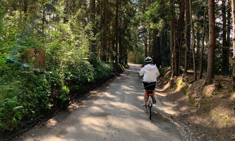 Bike ride around the Lipno Lake